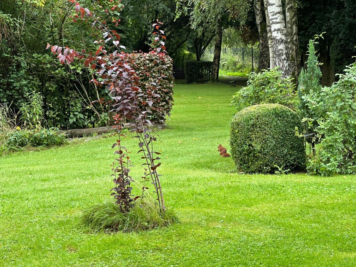 Hotel Steineweiher St. Vith エクステリア 写真