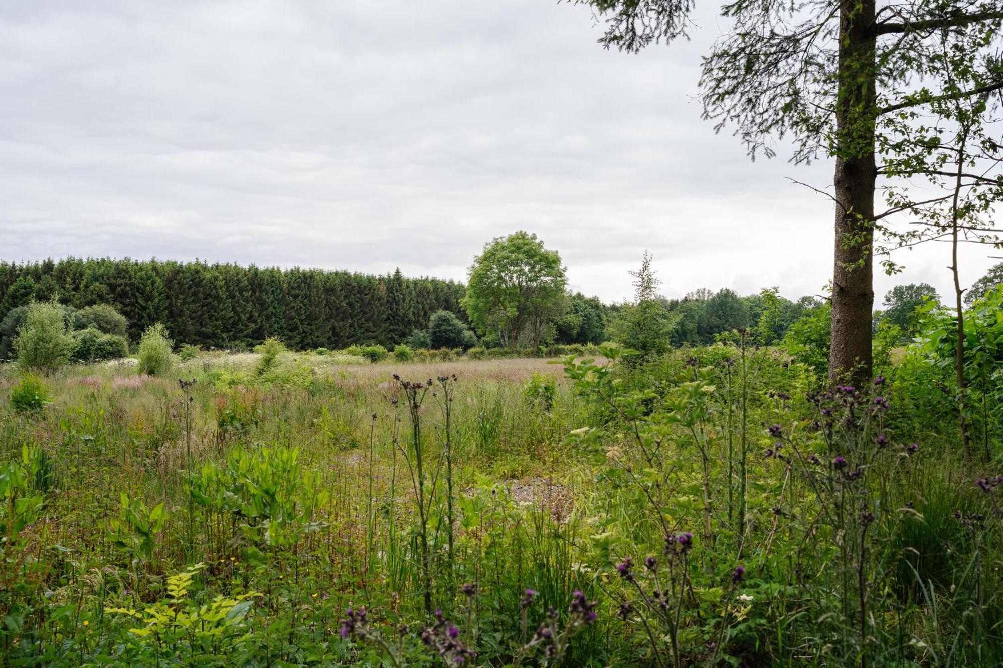 Hotel Steineweiher St. Vith エクステリア 写真
