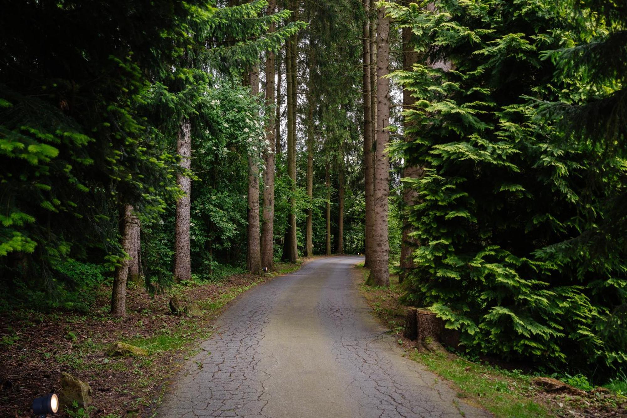 Hotel Steineweiher St. Vith エクステリア 写真