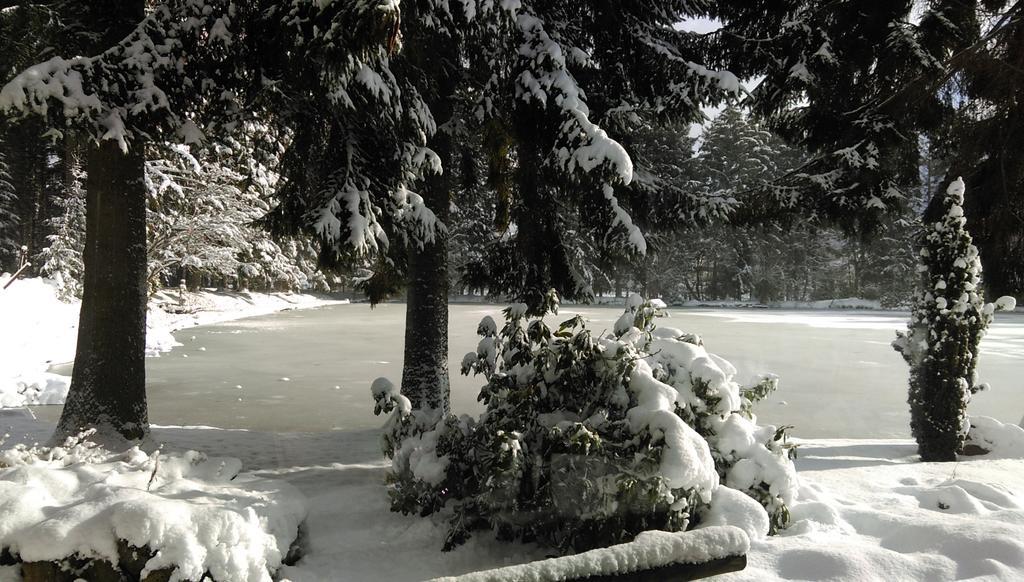 Hotel Steineweiher St. Vith 部屋 写真